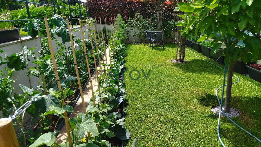 Moradia T3 para Venda em Arca e Ponte de Lima Foto 30