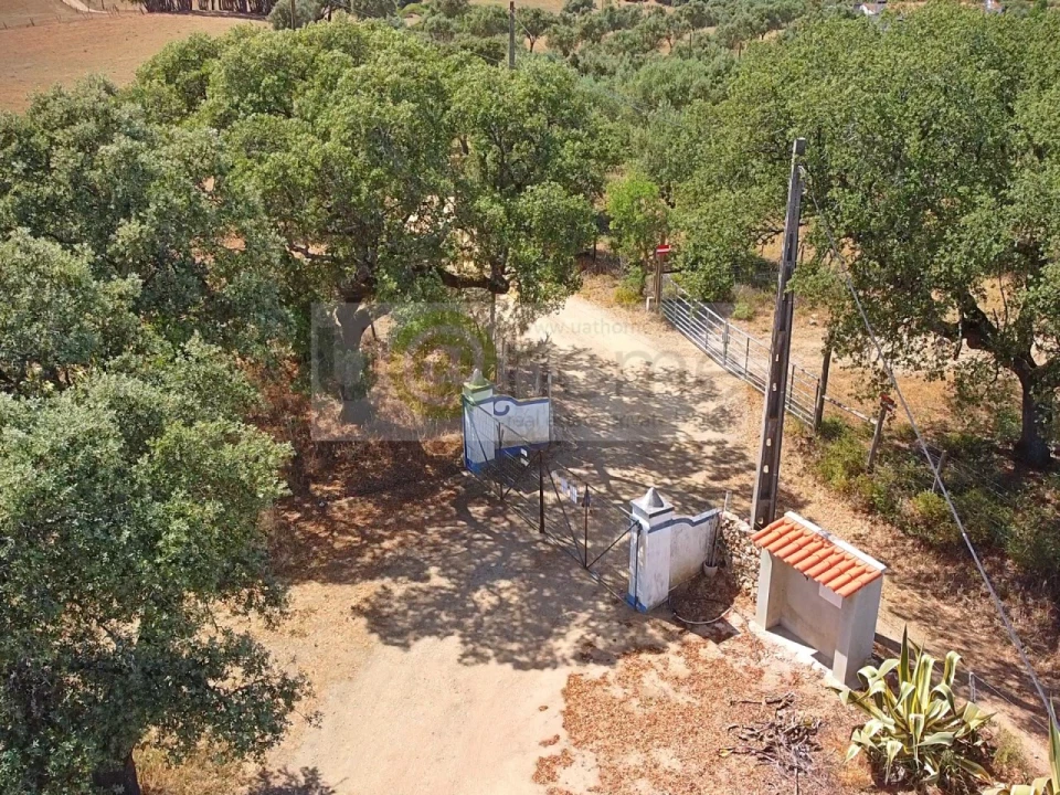 Terreno para Venda em Santiago do Escoural Foto 4