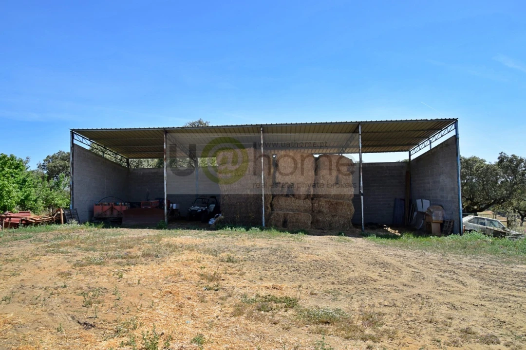 Terreno para Venda em Santiago do Escoural Foto 8