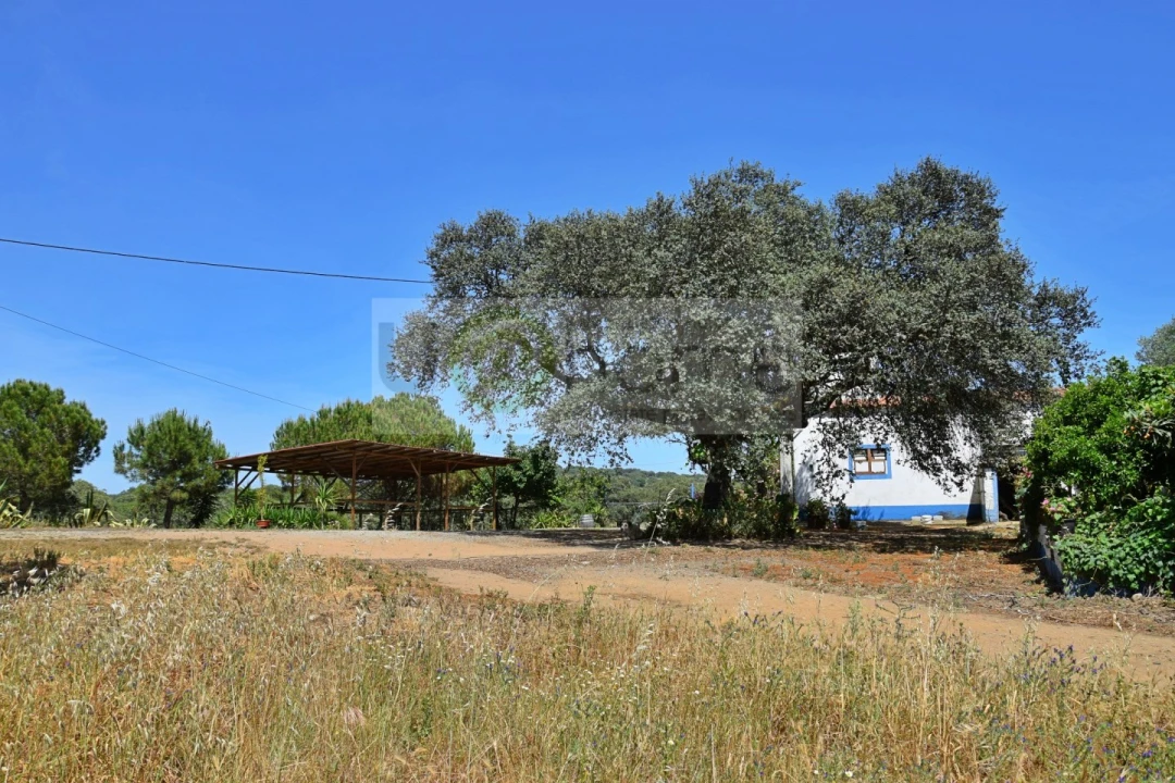 Terreno para Venda em Santiago do Escoural Foto 13
