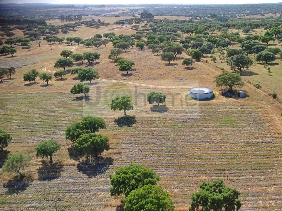 Terreno para Venda em Santiago do Escoural Foto 19