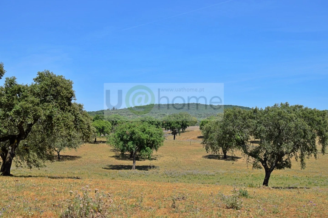 Terreno para Venda em Santiago do Escoural Foto 31