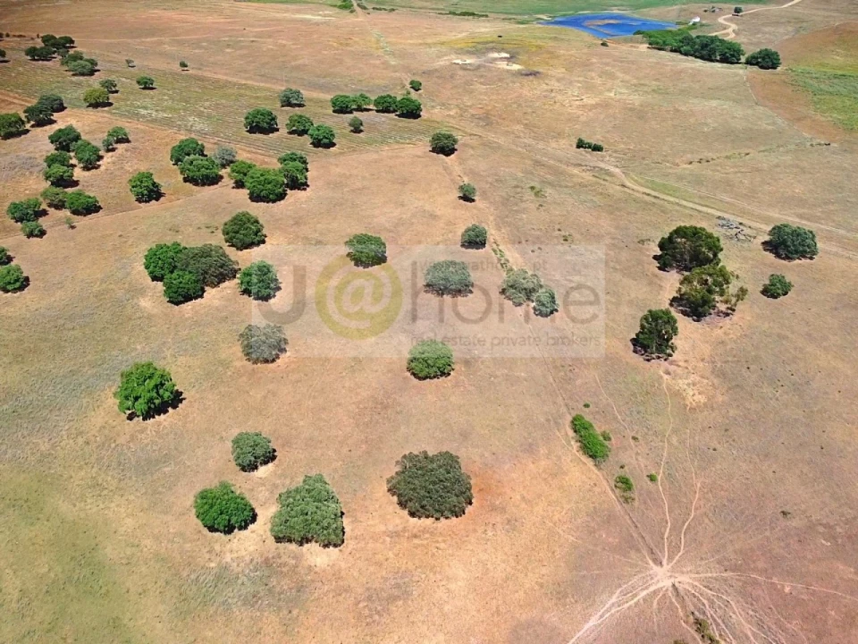 Terreno para Venda em Santiago do Escoural Foto 34