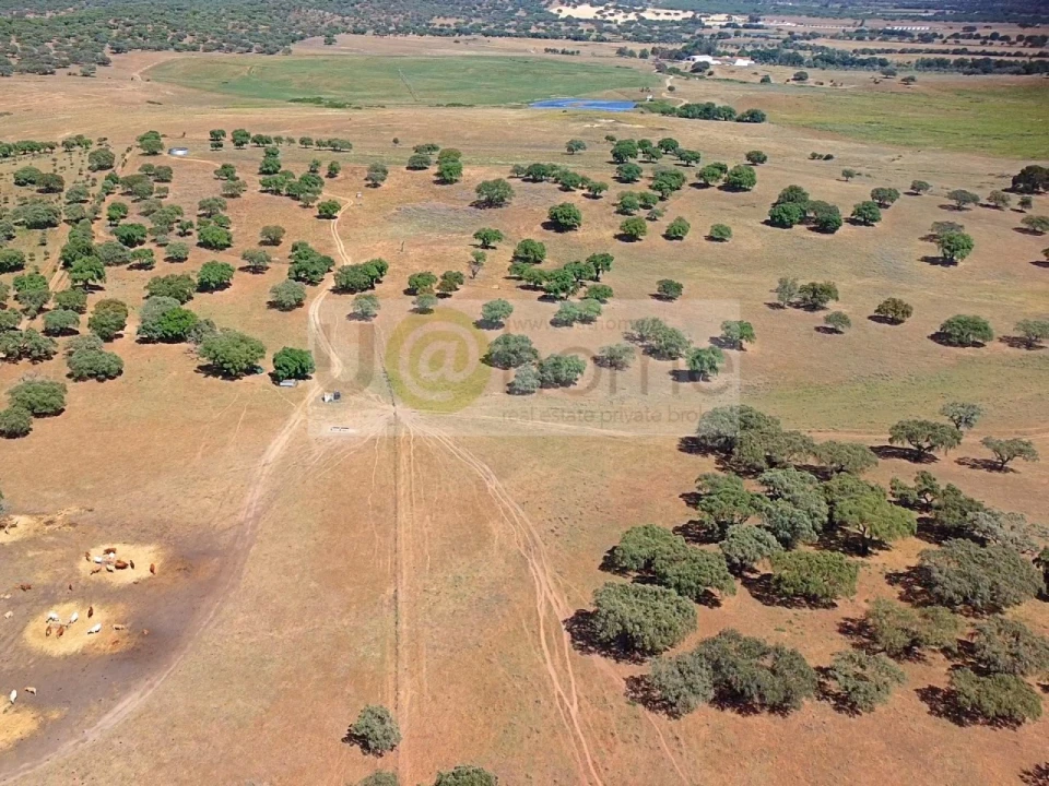 Terreno para Venda em Santiago do Escoural Foto 36