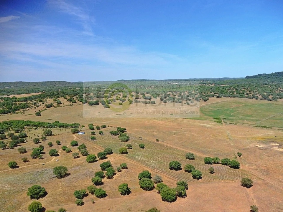 Terreno para Venda em Santiago do Escoural Foto 37