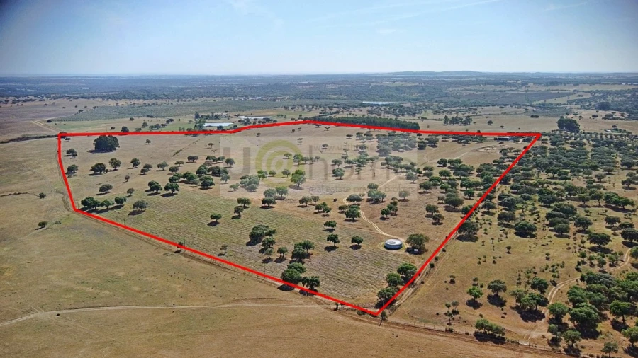 Terreno para Venda em Santiago do Escoural Foto 2