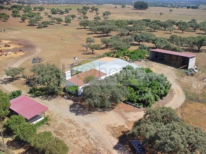 Terreno para Venda em Santiago do Escoural Foto 5