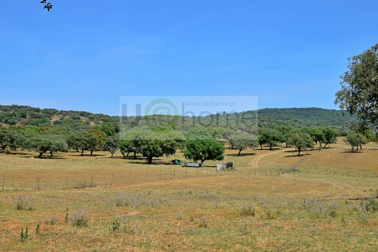 Terreno para Venda em Santiago do Escoural Foto 29