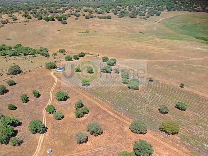 Terreno para Venda em Santiago do Escoural Foto 35