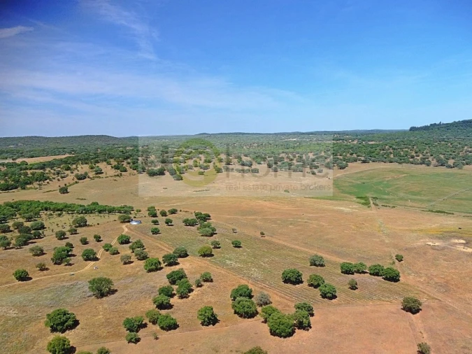 Terreno para Venda em Santiago do Escoural Foto 37