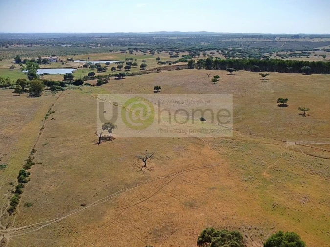 Terreno para Venda em Santiago do Escoural Foto 38