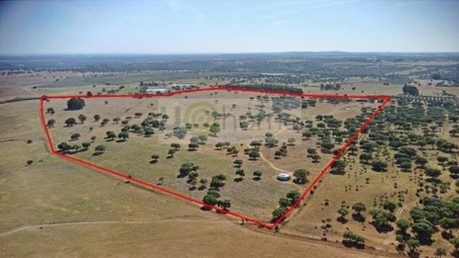 Terreno para Venda em Santiago do Escoural Planta 1