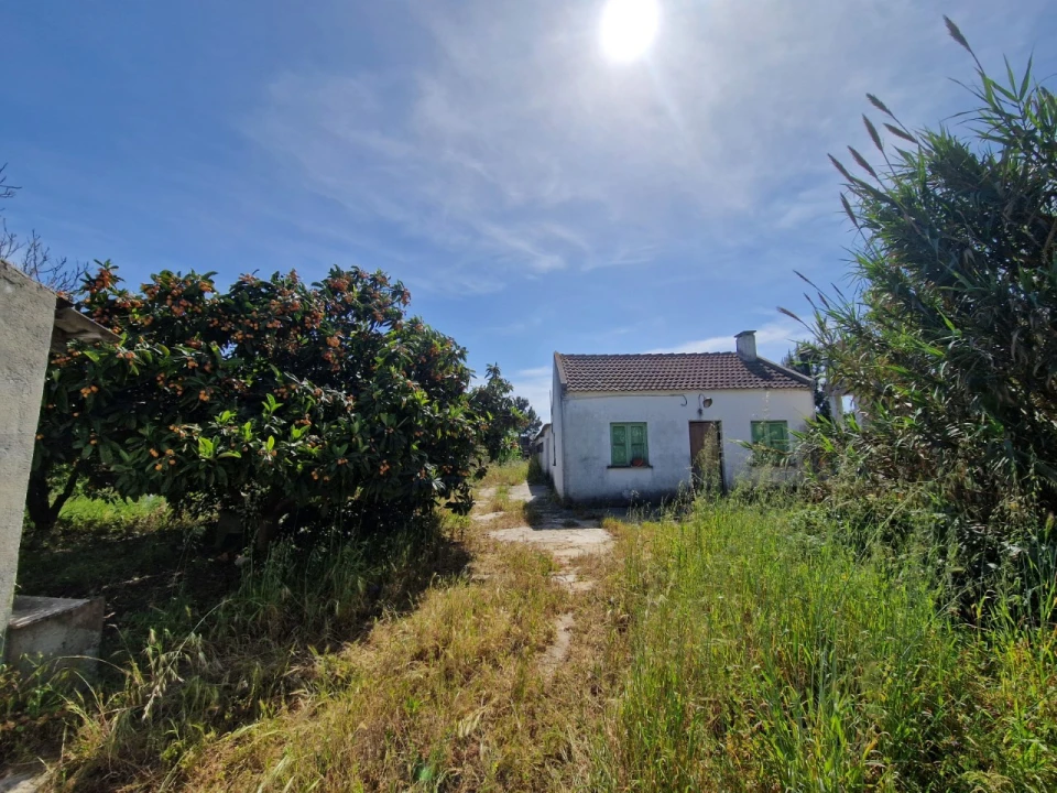 Quinta T1 para Venda em Fernao Ferro Foto 1