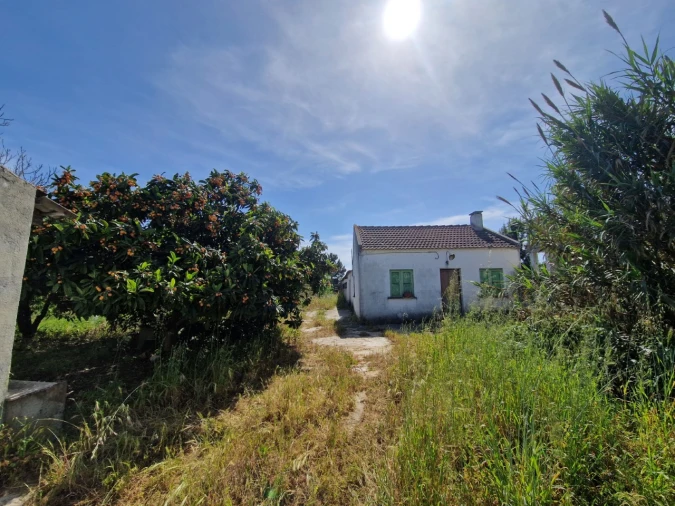 Quinta T1 para Venda em Fernao Ferro Foto 1