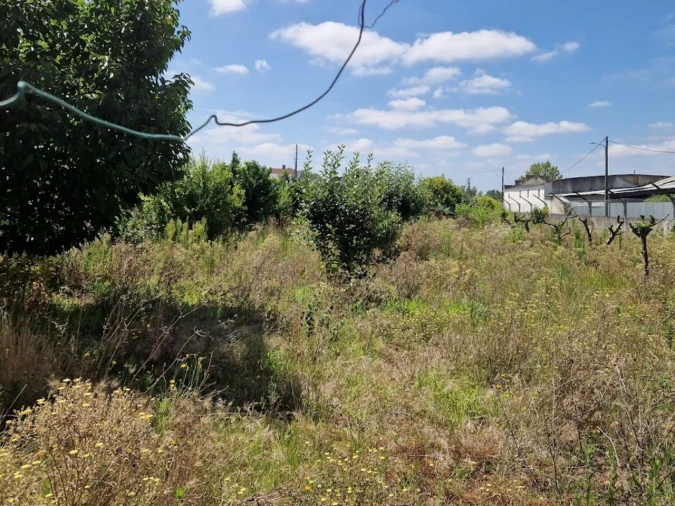 Terreno para Venda em Barcouço Foto 3
