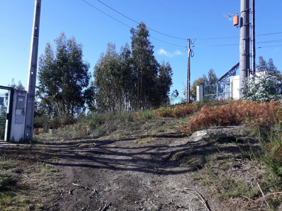 Terreno para Venda em Fonte Arcada e Oliveira Foto 1