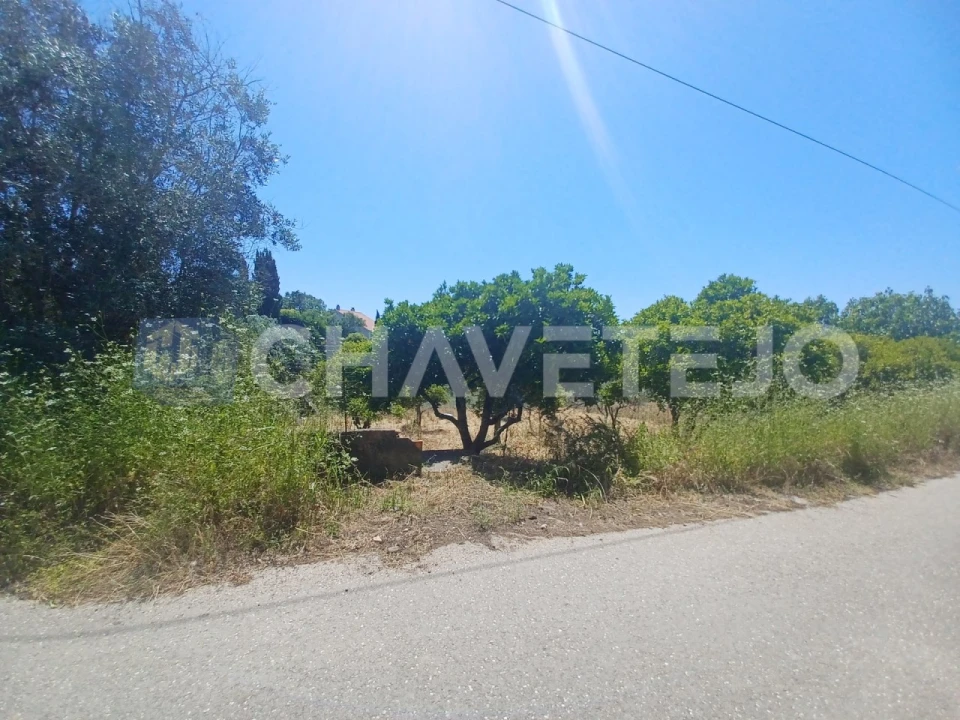 Terreno para Venda em Serra e Junceira Foto 3