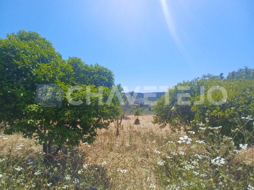 Terreno para Venda em Serra e Junceira Foto 1