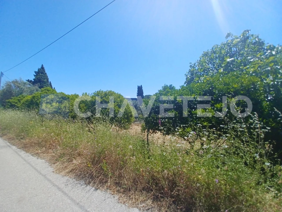 Terreno para Venda em Serra e Junceira Foto 7