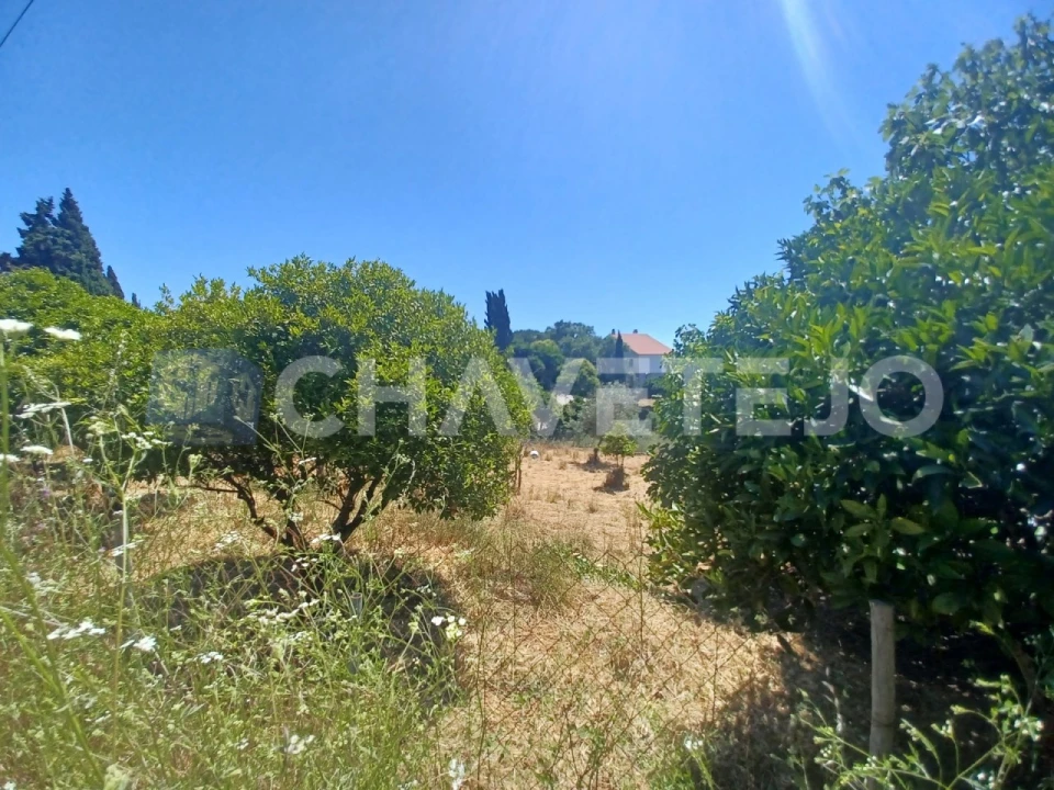 Terreno para Venda em Serra e Junceira Foto 2