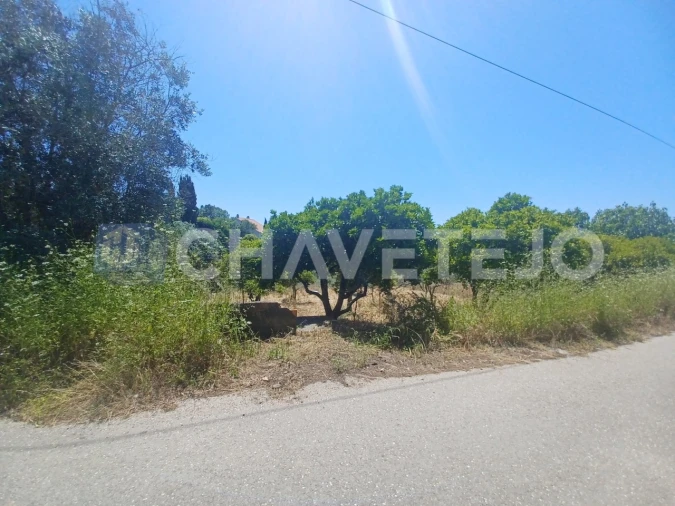 Terreno para Venda em Serra e Junceira Foto 3