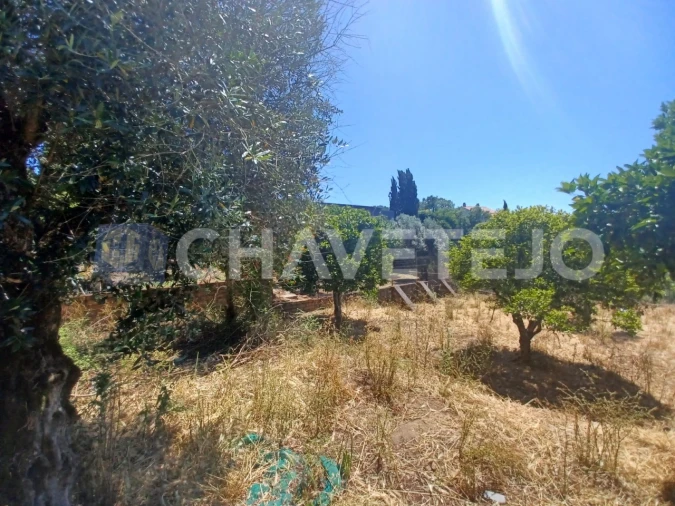 Terreno para Venda em Serra e Junceira Foto 4