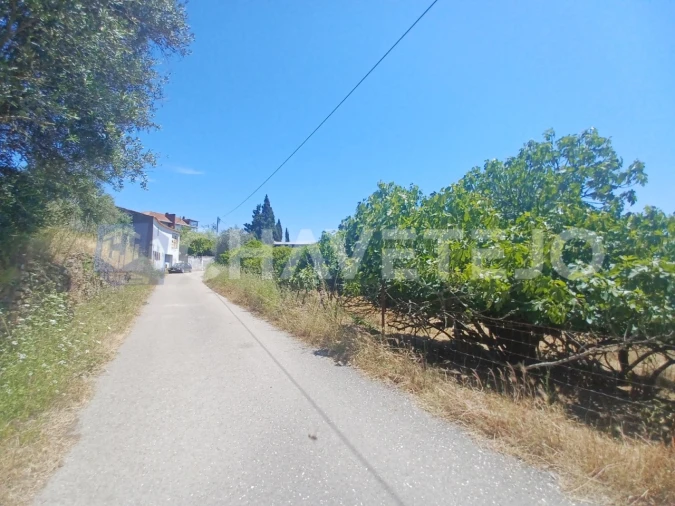 Terreno para Venda em Serra e Junceira Foto 6