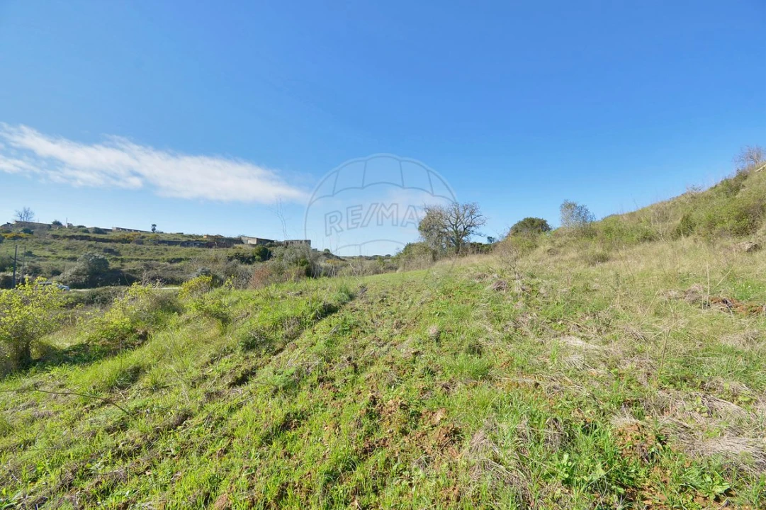 Terreno para Venda em Alhandra, São João dos Montes e Calhandriz Foto 14