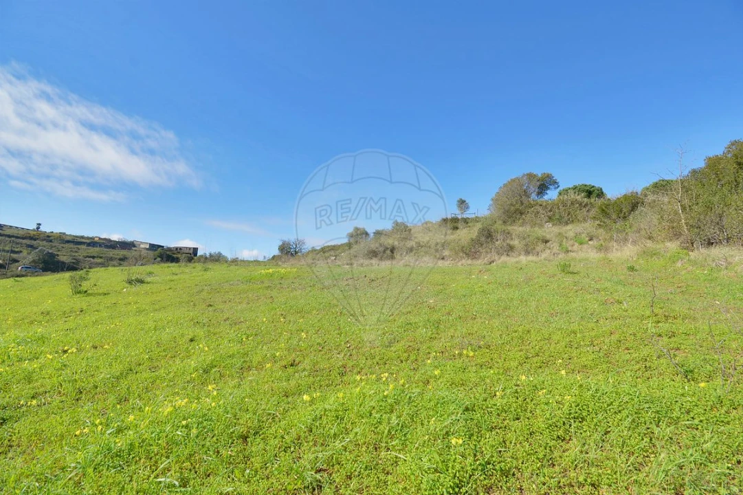 Terreno para Venda em Alhandra, São João dos Montes e Calhandriz Foto 9