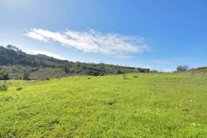 Terreno para Venda em Alhandra, São João dos Montes e Calhandriz