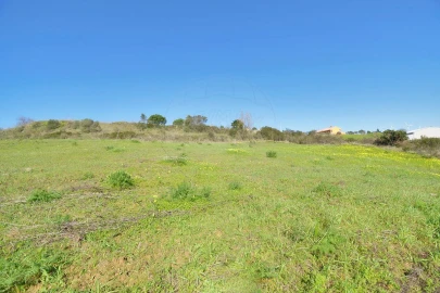 Terreno para Venda em Alhandra, São João dos Montes e Calhandriz