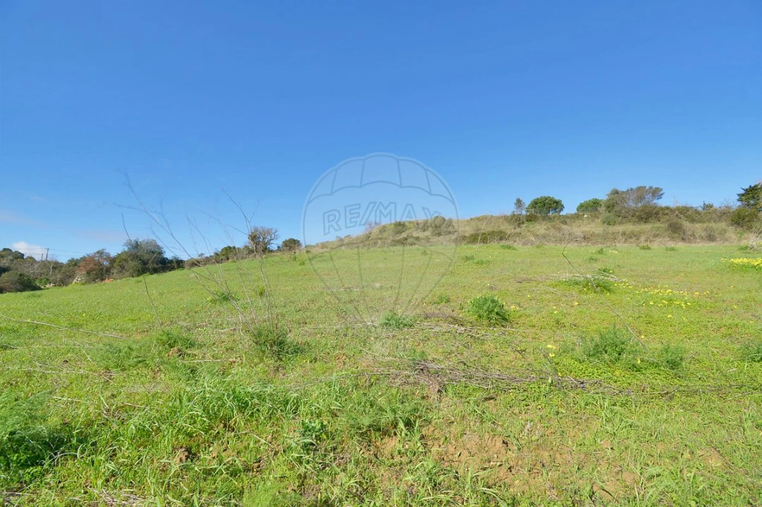 Terreno para Venda em Alhandra, São João dos Montes e Calhandriz Foto 10