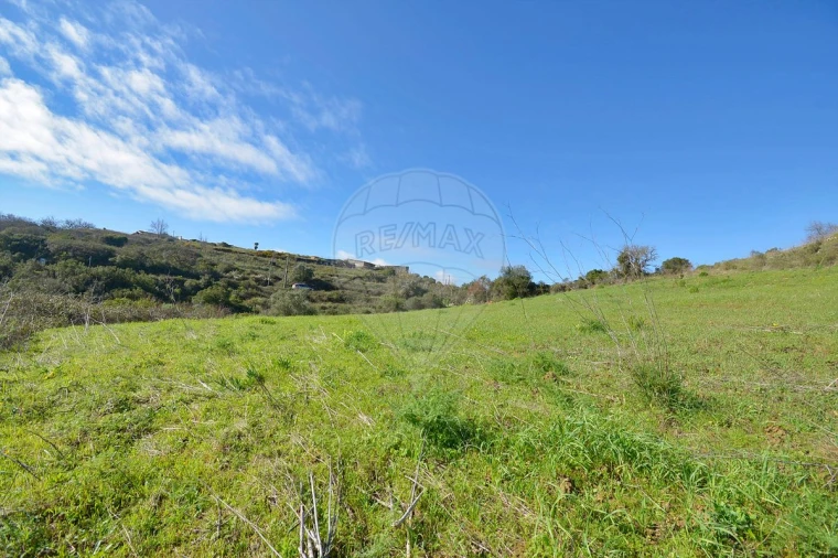 Terreno para Venda em Alhandra, São João dos Montes e Calhandriz Foto 13