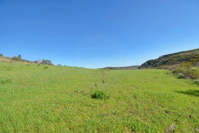 Terreno para Venda em Alhandra, São João dos Montes e Calhandriz Foto 5