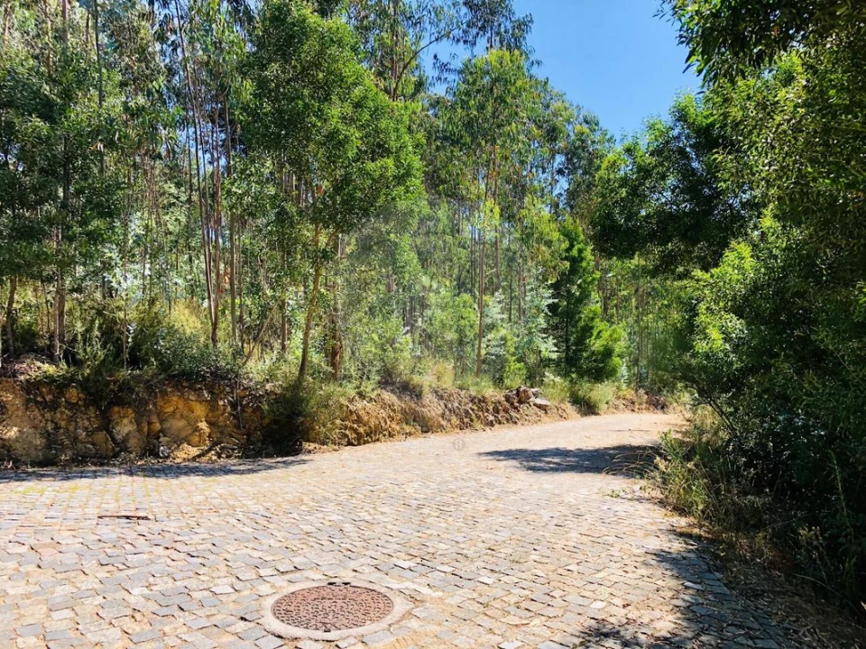 Terreno para Venda em Melres e Medas Foto 3