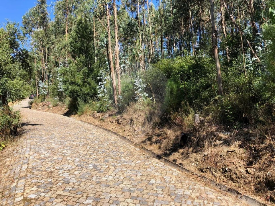 Terreno para Venda em Melres e Medas Foto 2