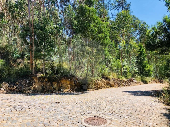 Terreno para Venda em Melres e Medas Foto 4