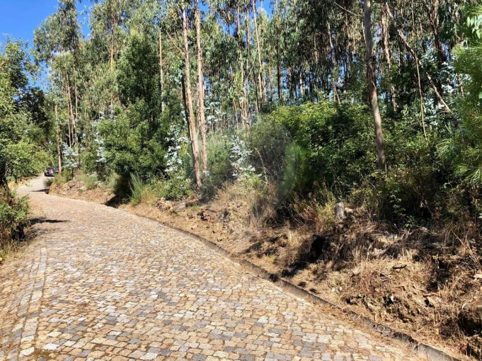 Terreno para Venda em Melres e Medas