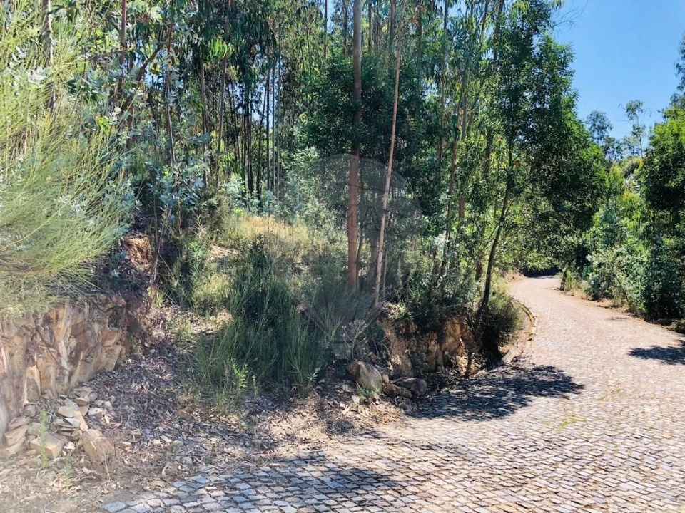 Terreno para Venda em Melres e Medas Foto 5