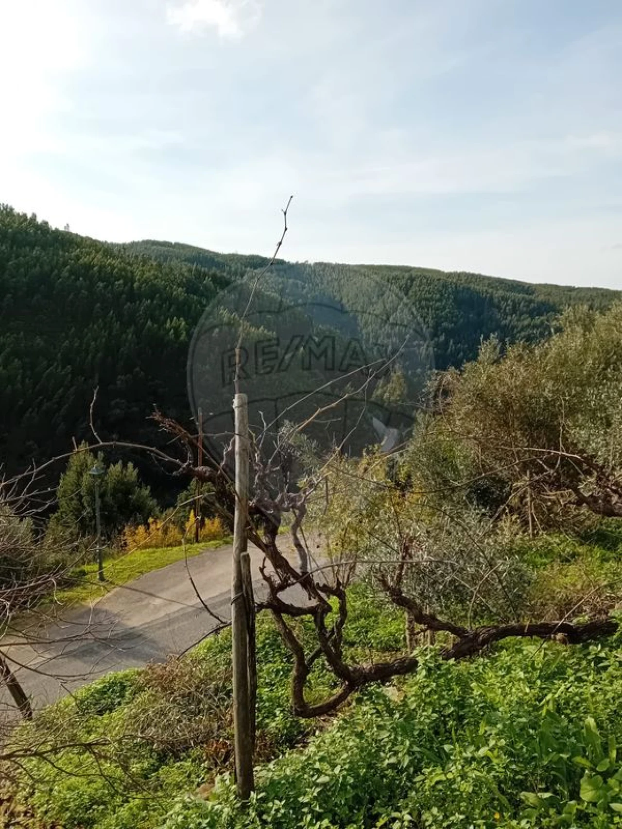 Moradia T1 para Venda em Alvaro Foto 16