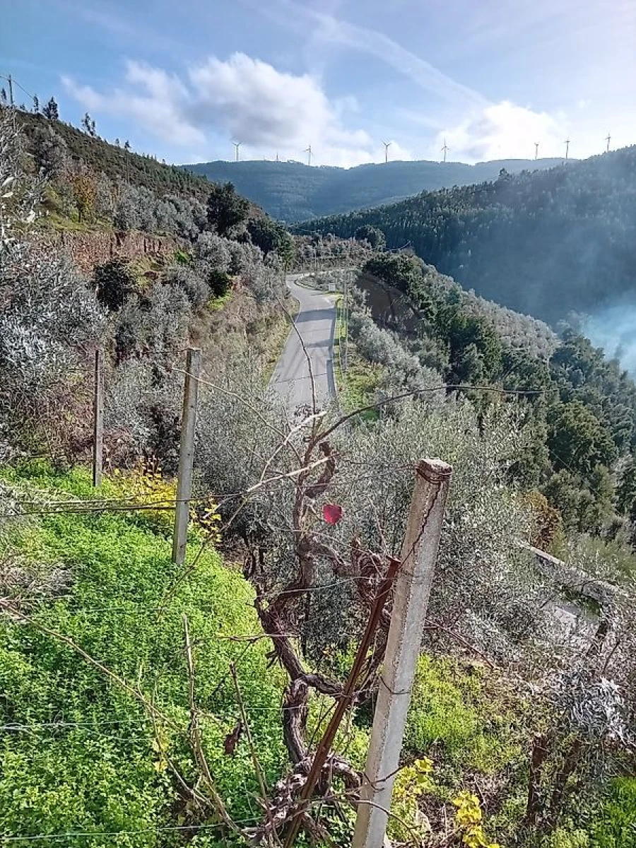 Moradia T1 para Venda em Alvaro Foto 18