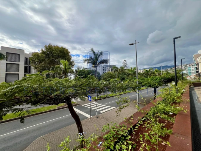 Loja para Venda em São Martinho Foto 41