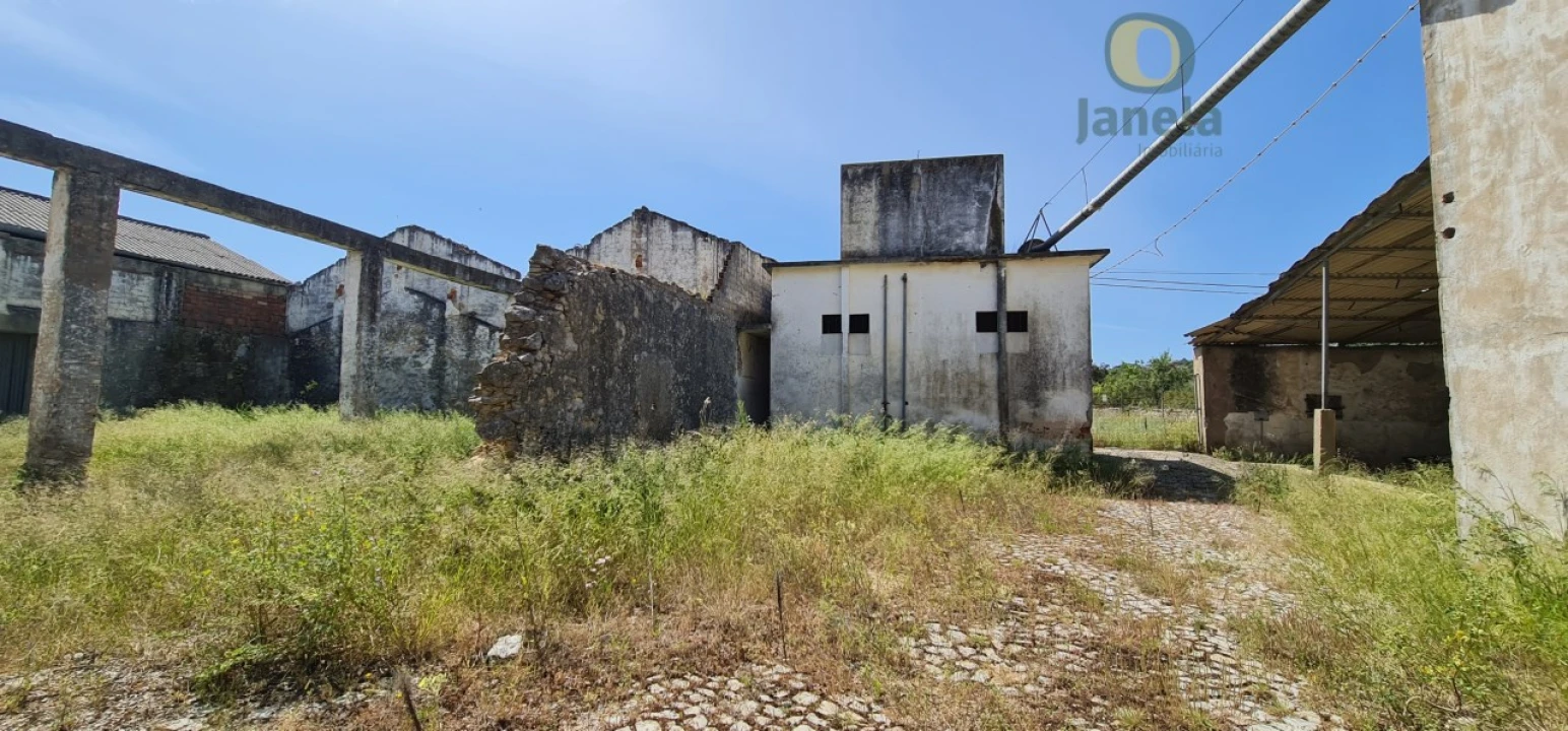Negócio para Venda em São Brás de Alportel Foto 5