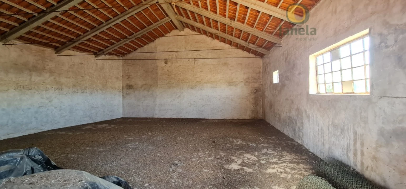 Negócio para Venda em São Brás de Alportel Foto 13