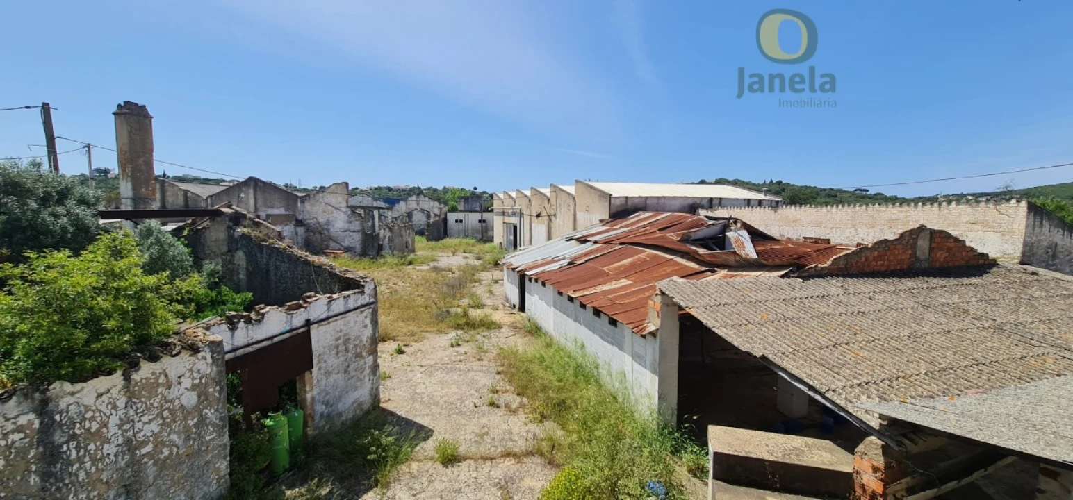 Negócio para Venda em São Brás de Alportel Foto 16