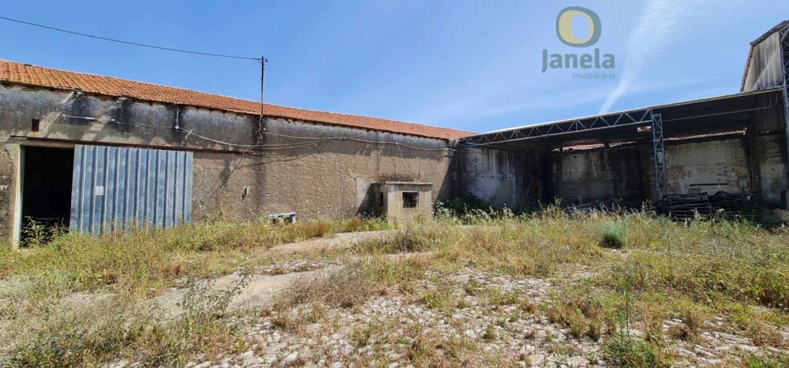 Negócio para Venda em São Brás de Alportel Foto 22
