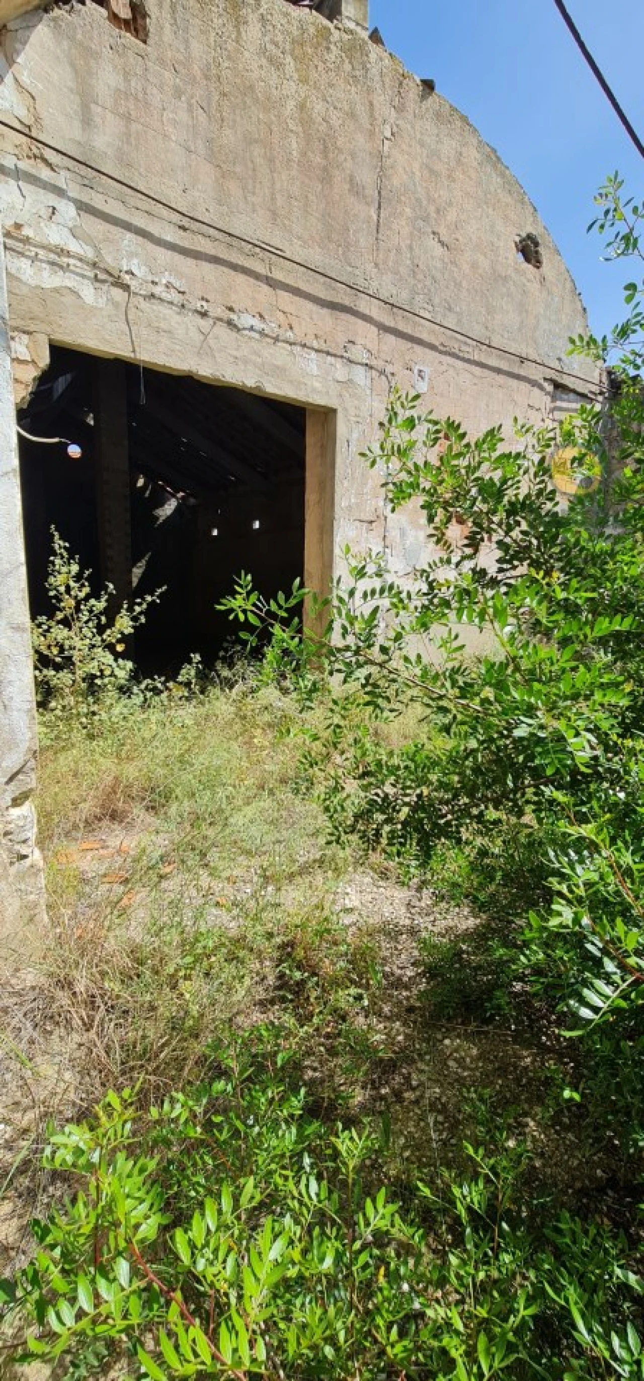 Negócio para Venda em São Brás de Alportel Foto 29