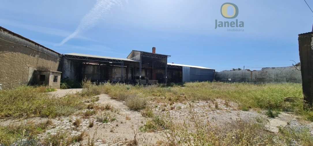 Negócio para Venda em São Brás de Alportel Foto 15