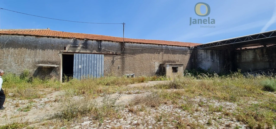 Negócio para Venda em São Brás de Alportel Foto 19