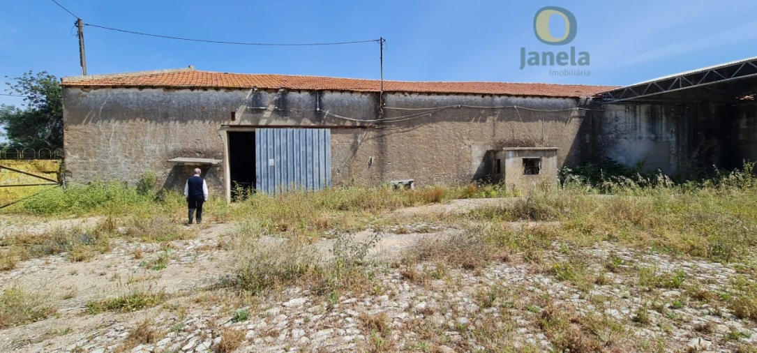 Negócio para Venda em São Brás de Alportel Foto 21